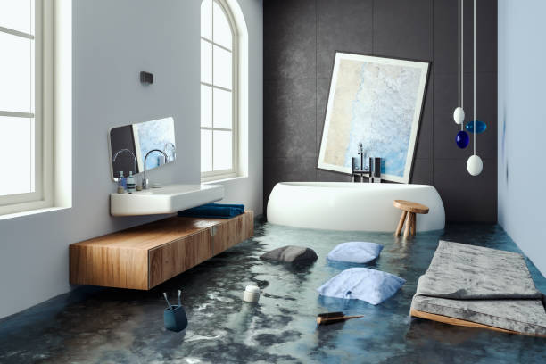 Best Commercial water damage restoration  in Gibson City, IL
