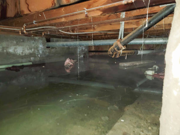 Best Water damage restoration company  in Gibson City, IL