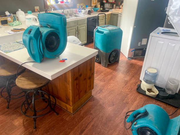 Best Sewage cleanup and water damage restoration  in Gibson City, IL