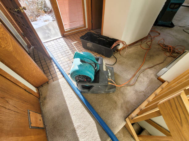 Best Residential water damage restoration  in Gibson City, IL