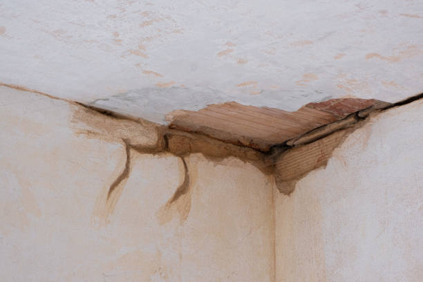 Best 24-hour water damage restoration  in Gibson City, IL