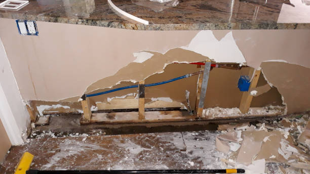 Best Water damage restoration near me  in Gibson City, IL
