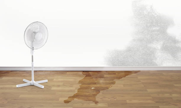 Best 24/7 water damage repair  in Gibson City, IL