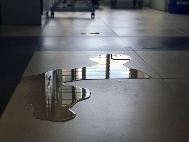Best 24/7 water damage repair  in Gibson City, IL