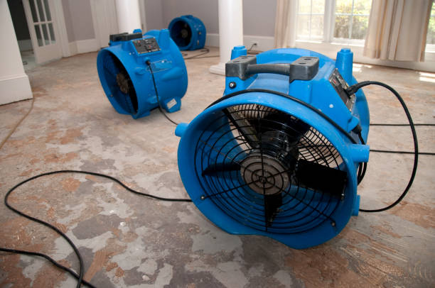 Best Water damage contractors near me  in Gibson City, IL