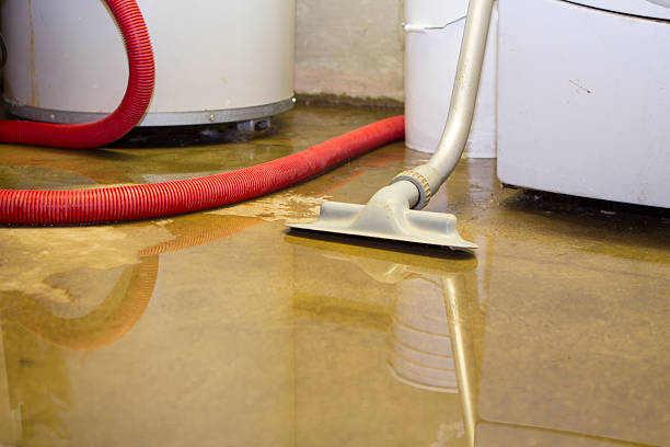 Best Emergency water damage restoration  in Gibson City, IL