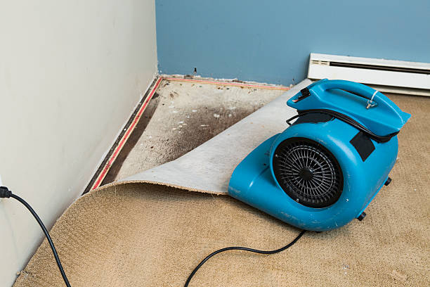 Sewage cleanup and water damage restoration in IL